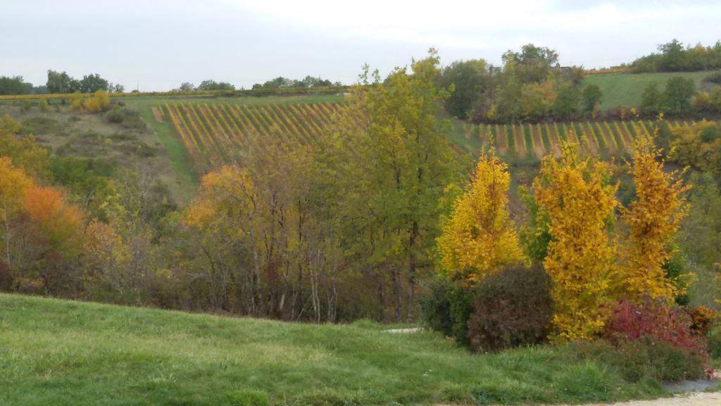 Les Hauts D'Albas Albas  Pokoj fotografie