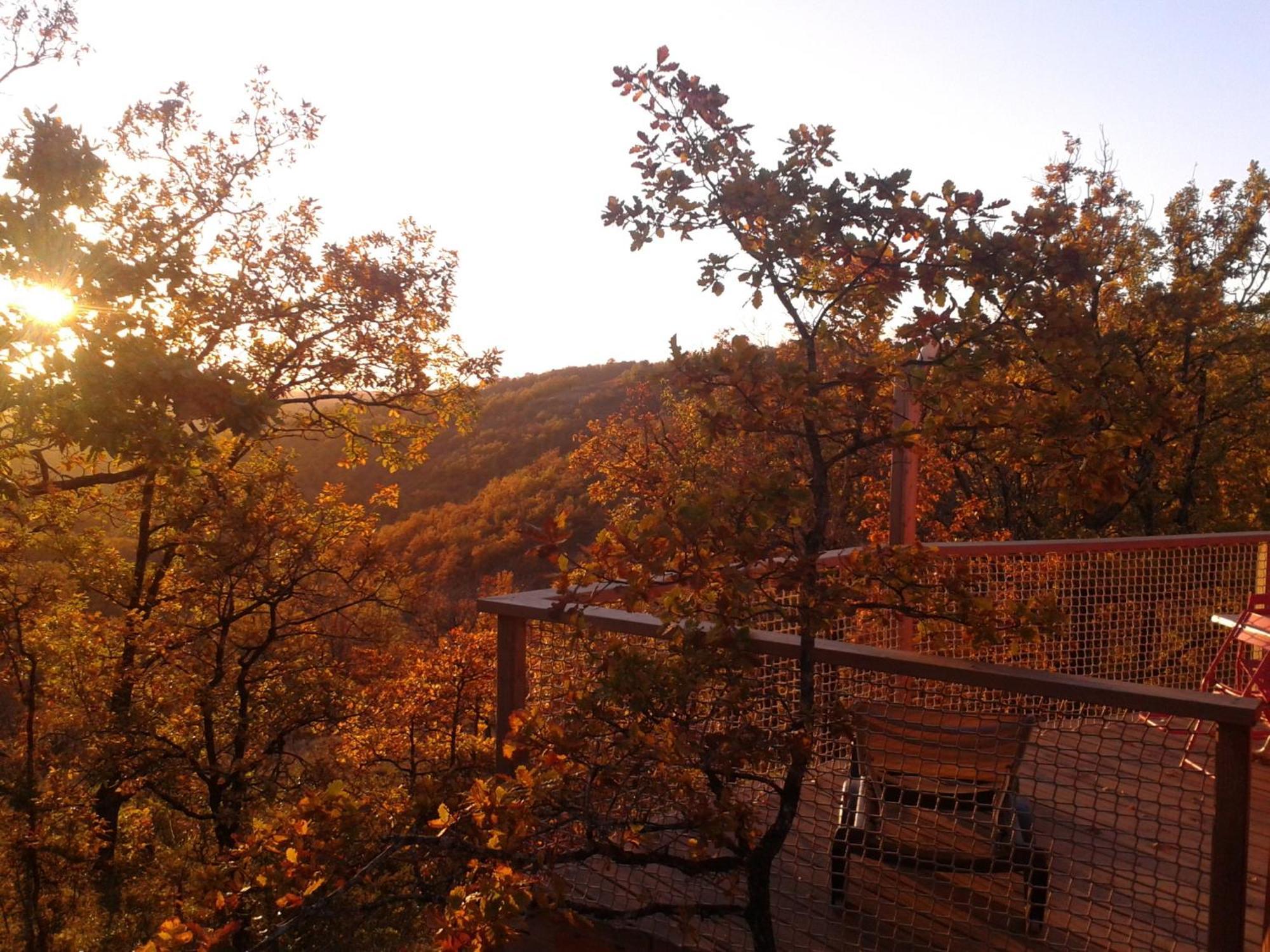 Les Hauts D'Albas Albas  Pokoj fotografie